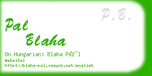 pal blaha business card